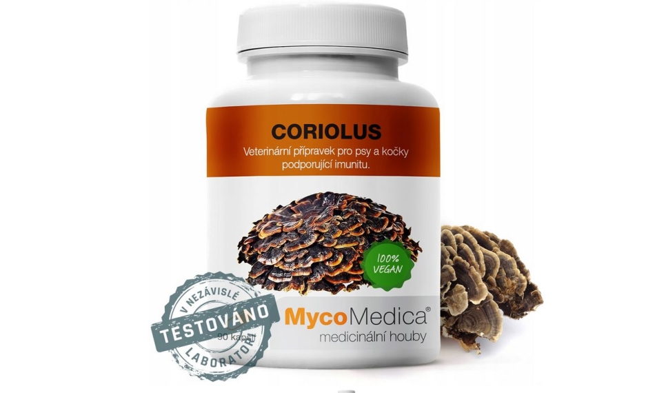 MycoMedica Coriolus Wrośniak Różnobarwny 90kapsułek