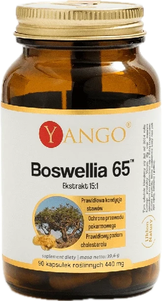 Yango | Boswellia 65 - ekstrakt 15:1 - 90 kapsułek