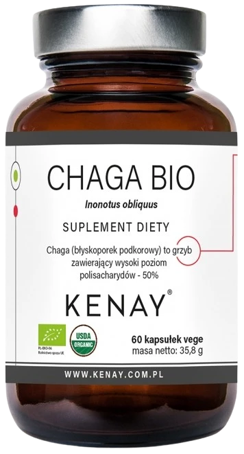 Kenay | Chaga Inonotus obliquus BIO 60 kapsułek