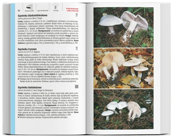 Molpharma | Książka "Grzyby Wielki Przewodnik Molpharma"