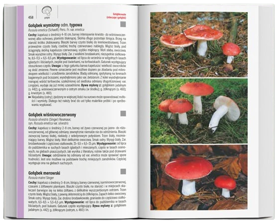 Molpharma | Książka "Grzyby Wielki Przewodnik Molpharma"
