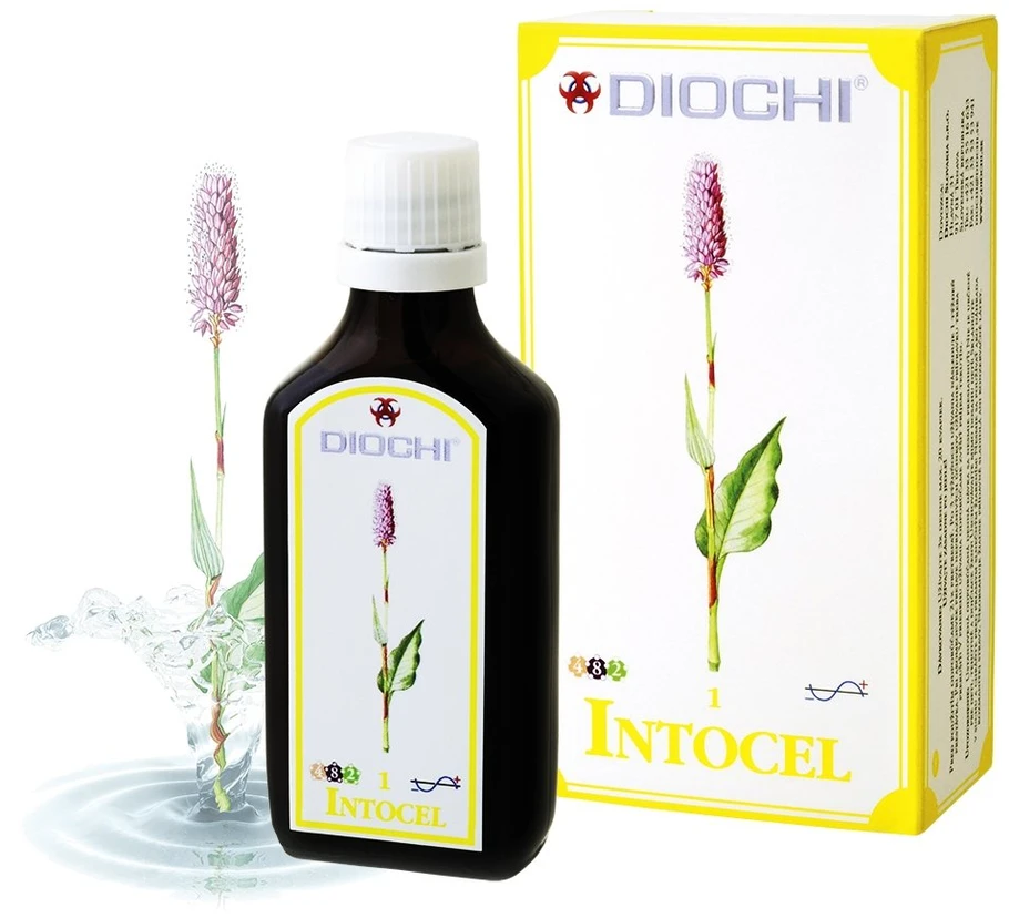 DIOCHI | Intocel 50ml